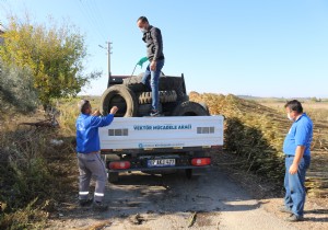 Serikte sinek yuvas haline gelen atk  lastikler toplanyor